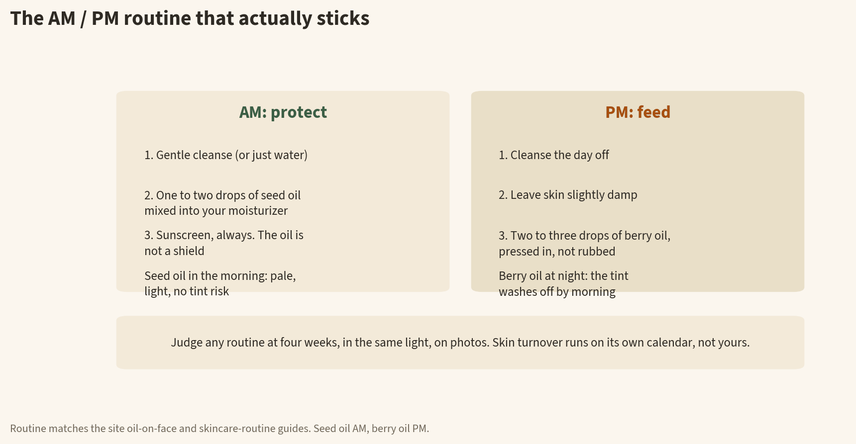 Infographic of an AM and PM skincare routine with sea buckthorn oil: morning is gentle cleanse, one to two drops of seed oil in moisturizer, and sunscreen; evening is cleanse, damp skin, two to three drops of berry oil pressed in