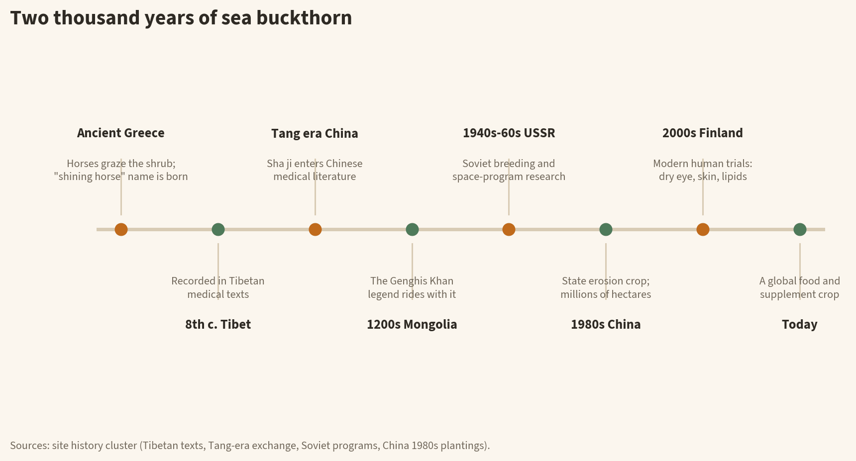 Timeline of sea buckthorn history: ancient Greek horse pastures, 8th century Tibetan medical texts, Tang-era Chinese literature, the 1200s Mongol legend, 1940s-60s Soviet breeding and space research, 1980s Chinese state plantings, 2000s Finnish clinical trials, and today
