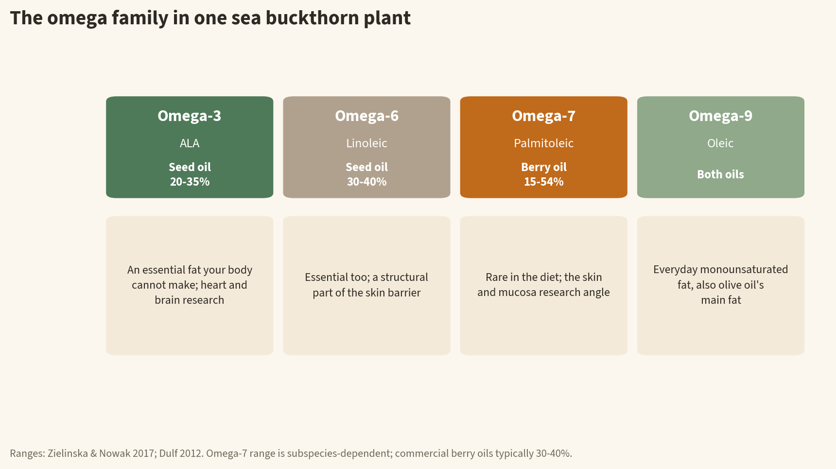 Infographic of the omega family in sea buckthorn: omega-3 ALA in seed oil at 20-35%, omega-6 linoleic in seed oil at 30-40%, omega-7 palmitoleic in berry oil at 15-54%, and omega-9 oleic in both oils, with the role of each