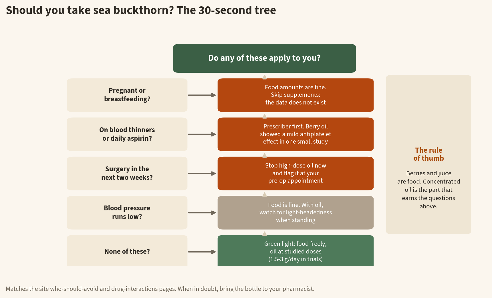 Decision tree infographic for who should avoid sea buckthorn: pregnant or breastfeeding means food amounts only, blood thinners or daily aspirin means prescriber first, surgery within two weeks means stop the oil, low blood pressure means monitor, and none of these means green light at studied doses