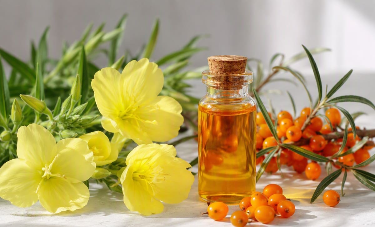 Pale yellow evening primrose flowers beside a bottle of sea buckthorn oil and berries