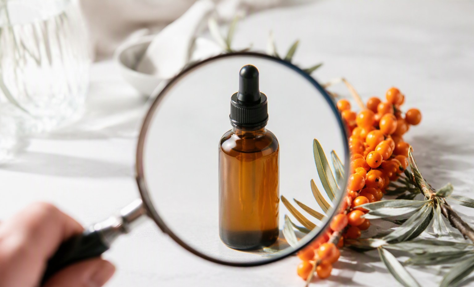 A hand holding a magnifying glass over an amber sea buckthorn dropper bottle beside fresh berries
