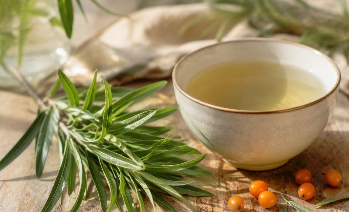 Fresh green sea buckthorn leaves beside a cup of pale leaf tea and orange berries