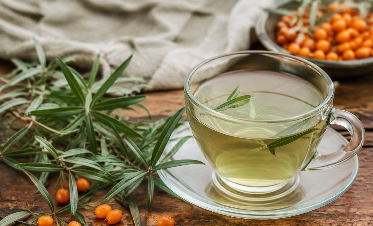 A cup of pale leaf tea beside fresh sea buckthorn leaves and orange berries