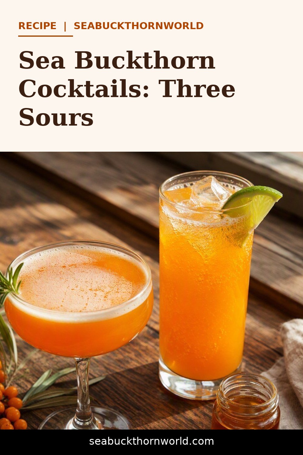 Sea Buckthorn Cocktails recipe pin for Pinterest